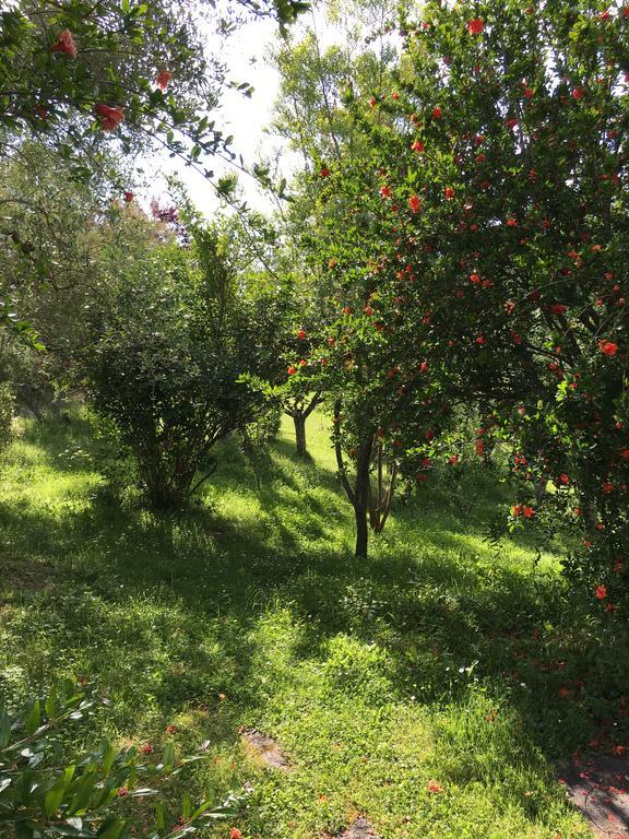 Casale Le Querce Daire Castelnuovo Berardenga Dış mekan fotoğraf